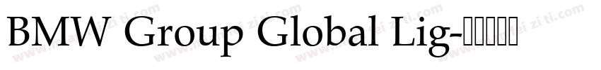 BMW Group Global Lig字体转换